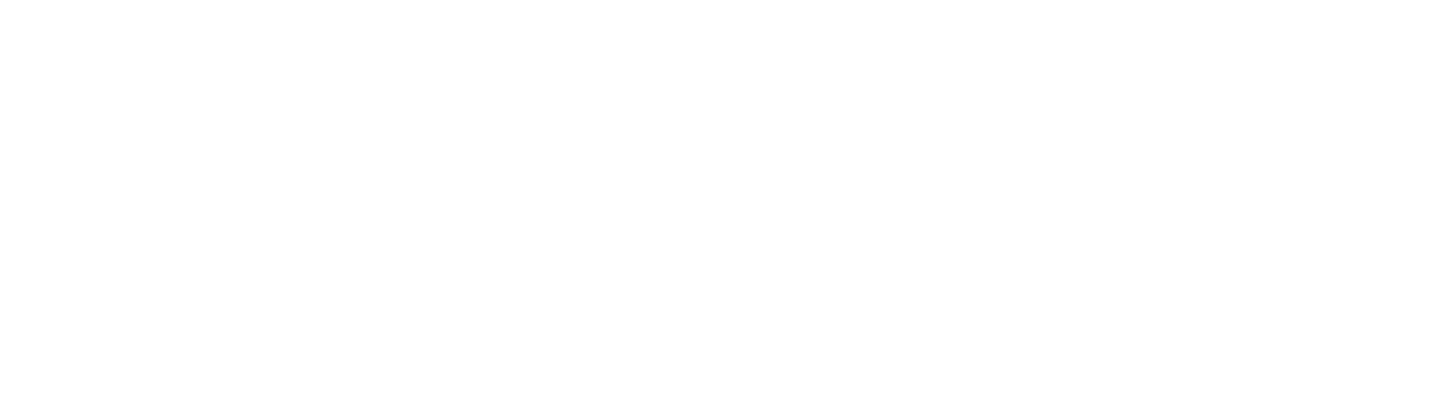 bs partners